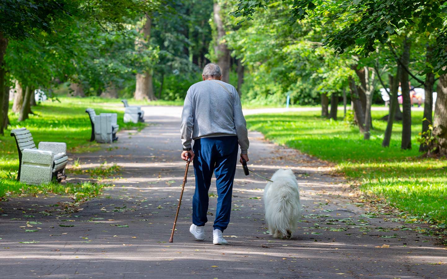 Baby boomers have longer lives but are in worse health than earlier generations