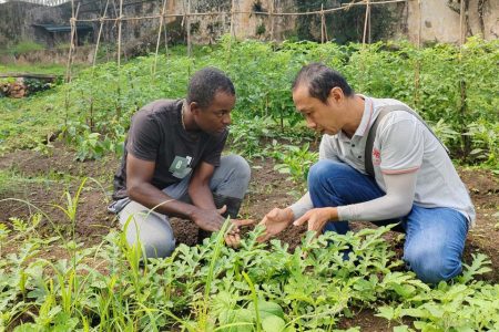 Chinese experts ‘key’ to agriculture development in São Tomé and Príncipe