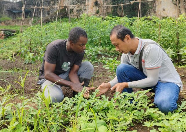 Chinese experts ‘key’ to agriculture development in São Tomé and Príncipe