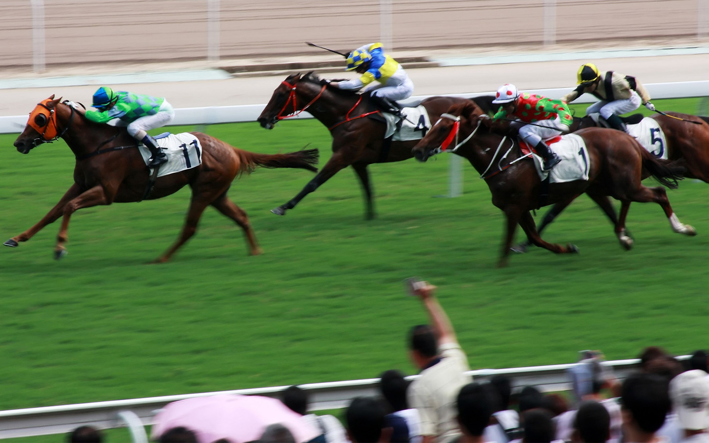 Hong Kong could lower its age limit for horse racing in a bid to boost tourism