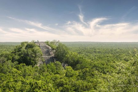 A PhD student has unearthed a lost Maya city ‘by accident’