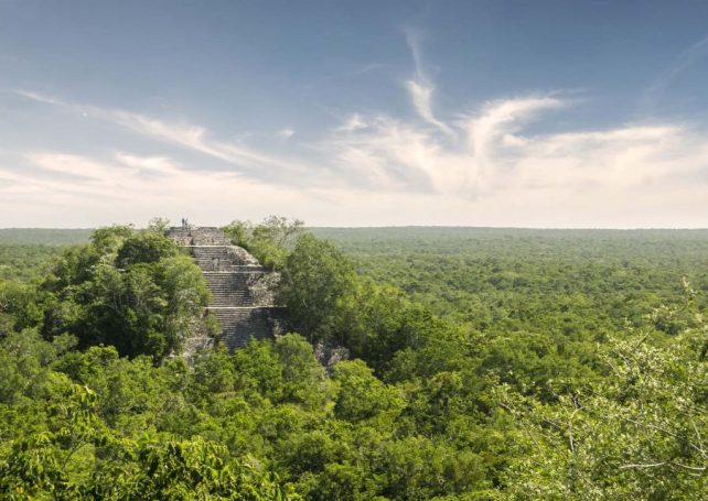 A PhD student has unearthed a lost Maya city ‘by accident’