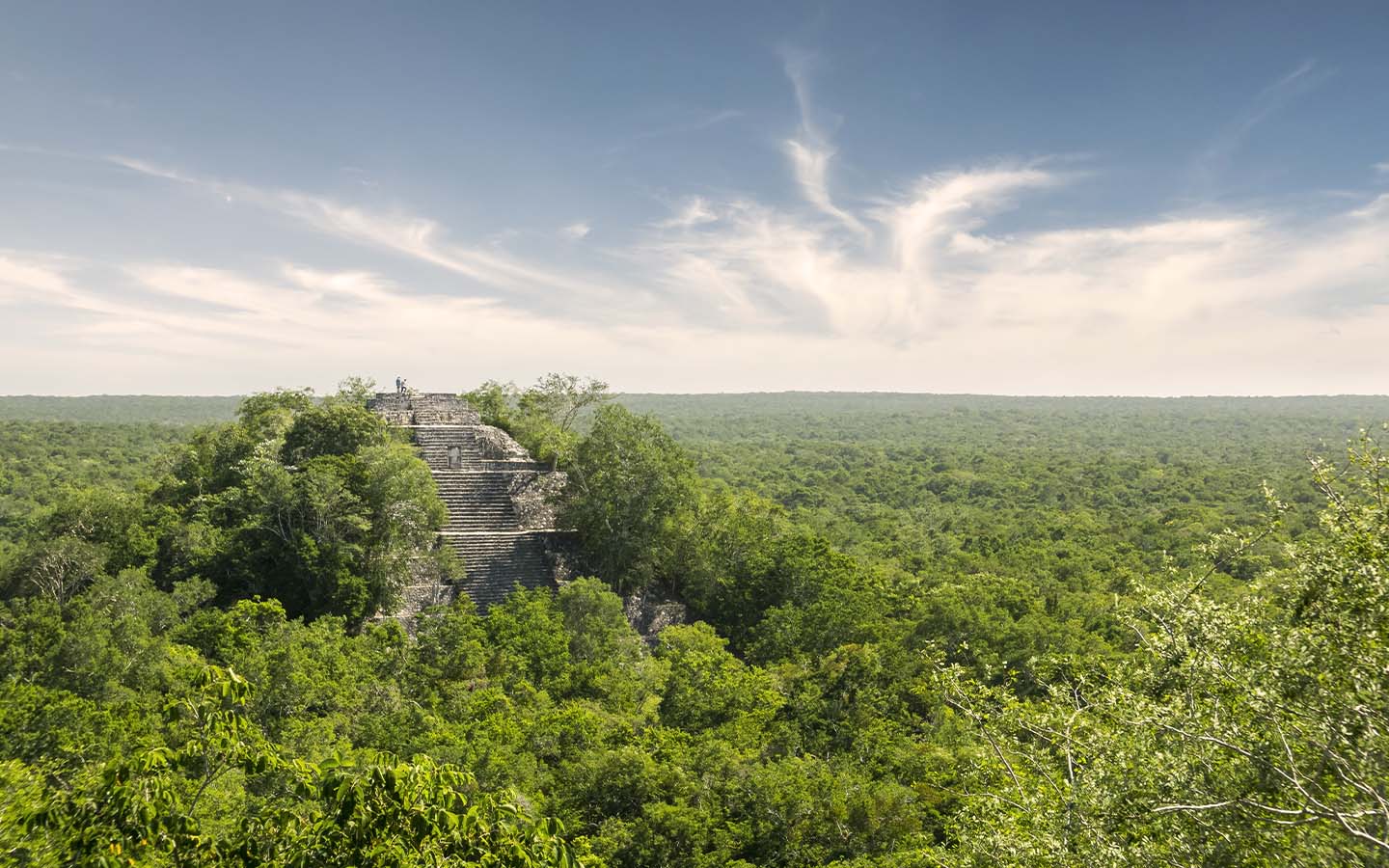 A PhD student has unearthed a lost Maya city ‘by accident’