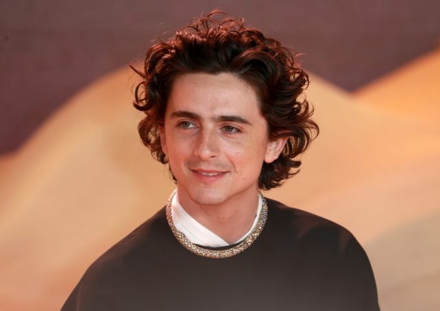 Watch Timothée Chalamet turn up to his own lookalike contest