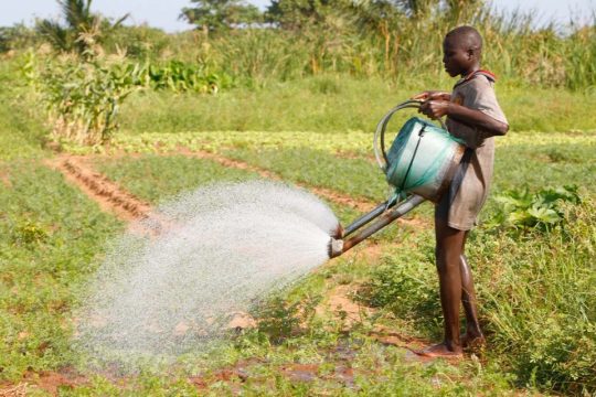 The global water crisis is threatening more than half the world’s food production