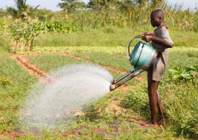 The global water crisis is threatening more than half the world’s food production