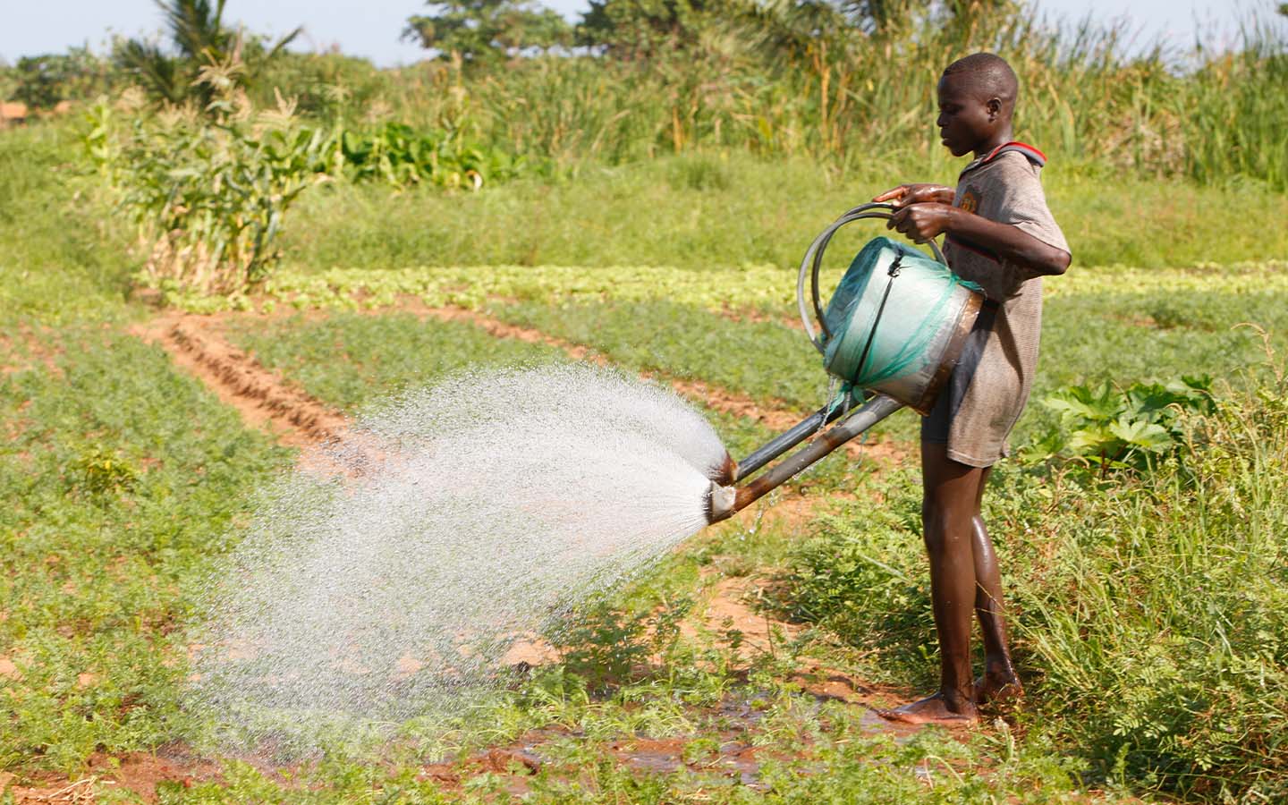 The global water crisis is threatening more than half the world’s food production