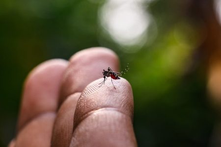 Macao reports a third locally transmitted case of dengue fever