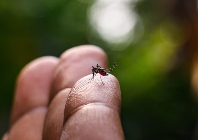 Macao reports a third locally transmitted case of dengue fever 