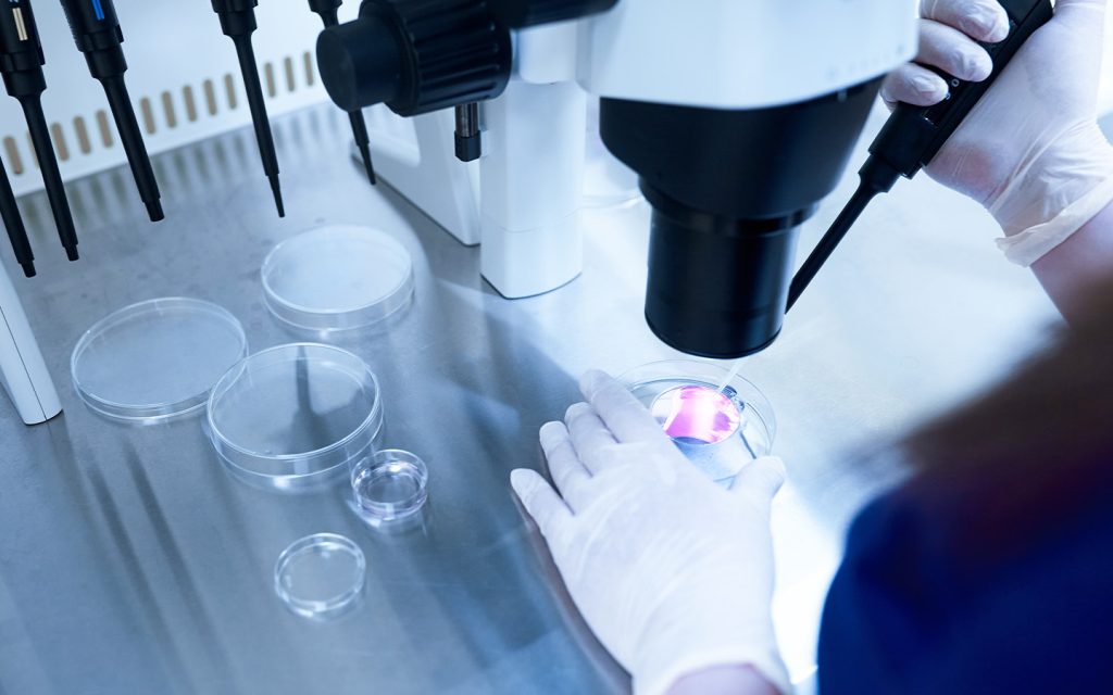 An assisted fertility scheme is introduced to boost Macao’s birthrate