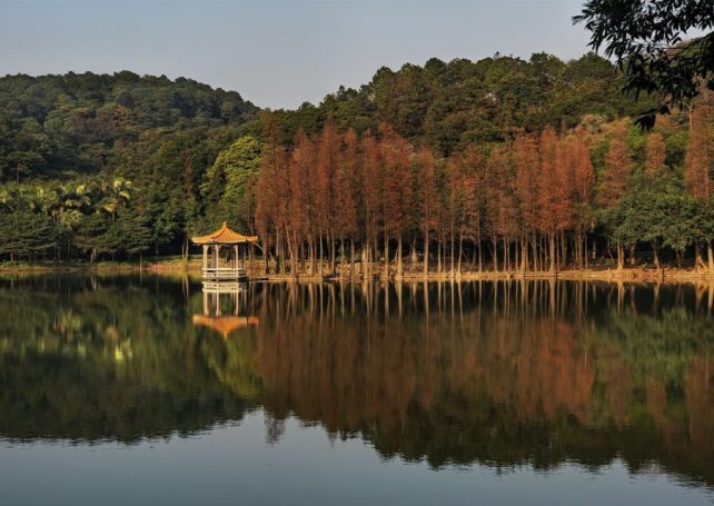 Following a long delay, autumn has finally come to Guangdong province 