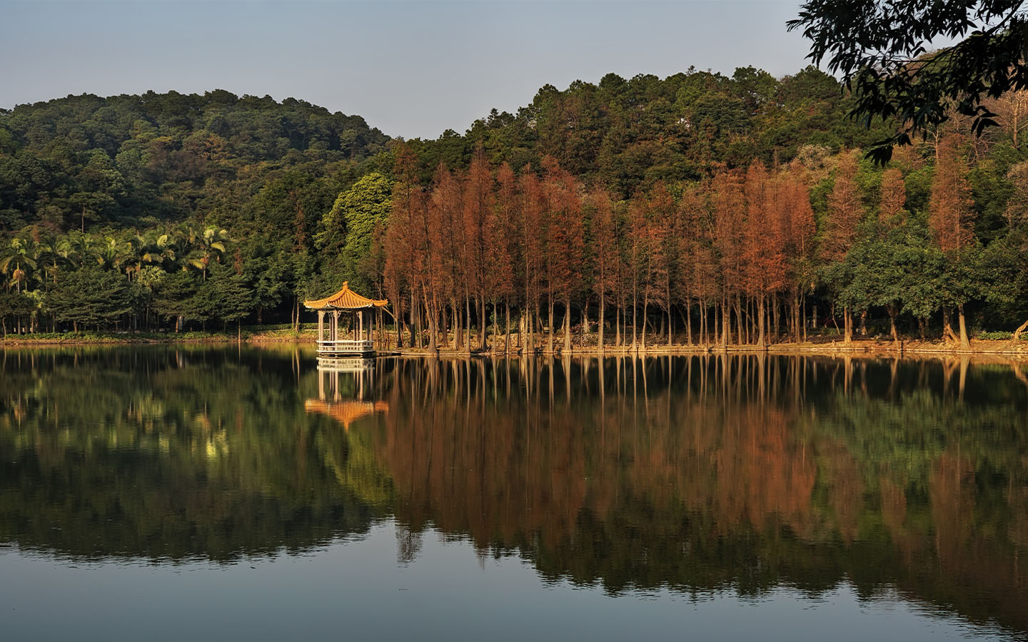 Following a long delay, autumn has finally come to Guangdong province 