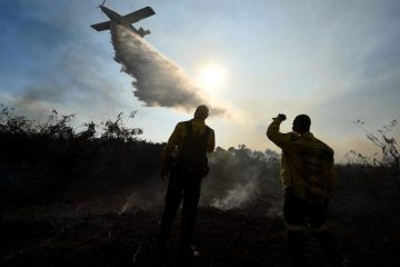 Areas impacted by wildfires nearly double in Brazil