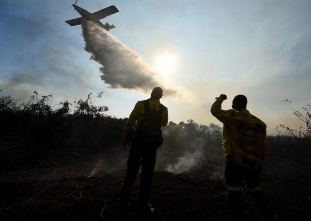 Areas impacted by wildfires nearly double in Brazil