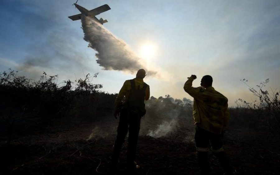 Areas impacted by wildfires nearly double in Brazil