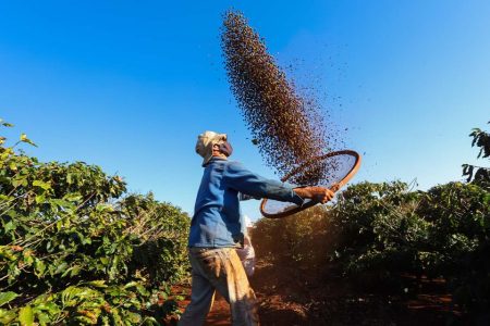 Brazilian coffee records a banner year