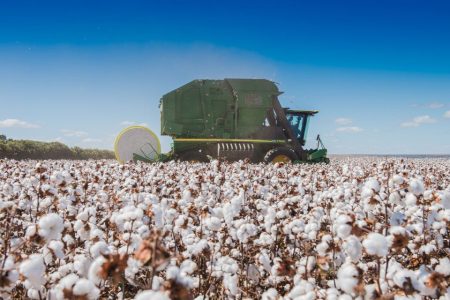 Brazil becomes the world’s largest cotton exporter as production surges