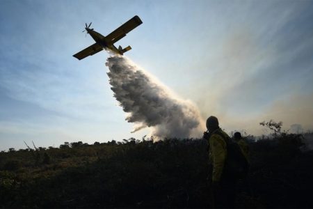 Over 30 million hectares of land burned in Brazil in 2024