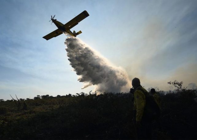 Over 30 million hectares of land burned in Brazil in 2024