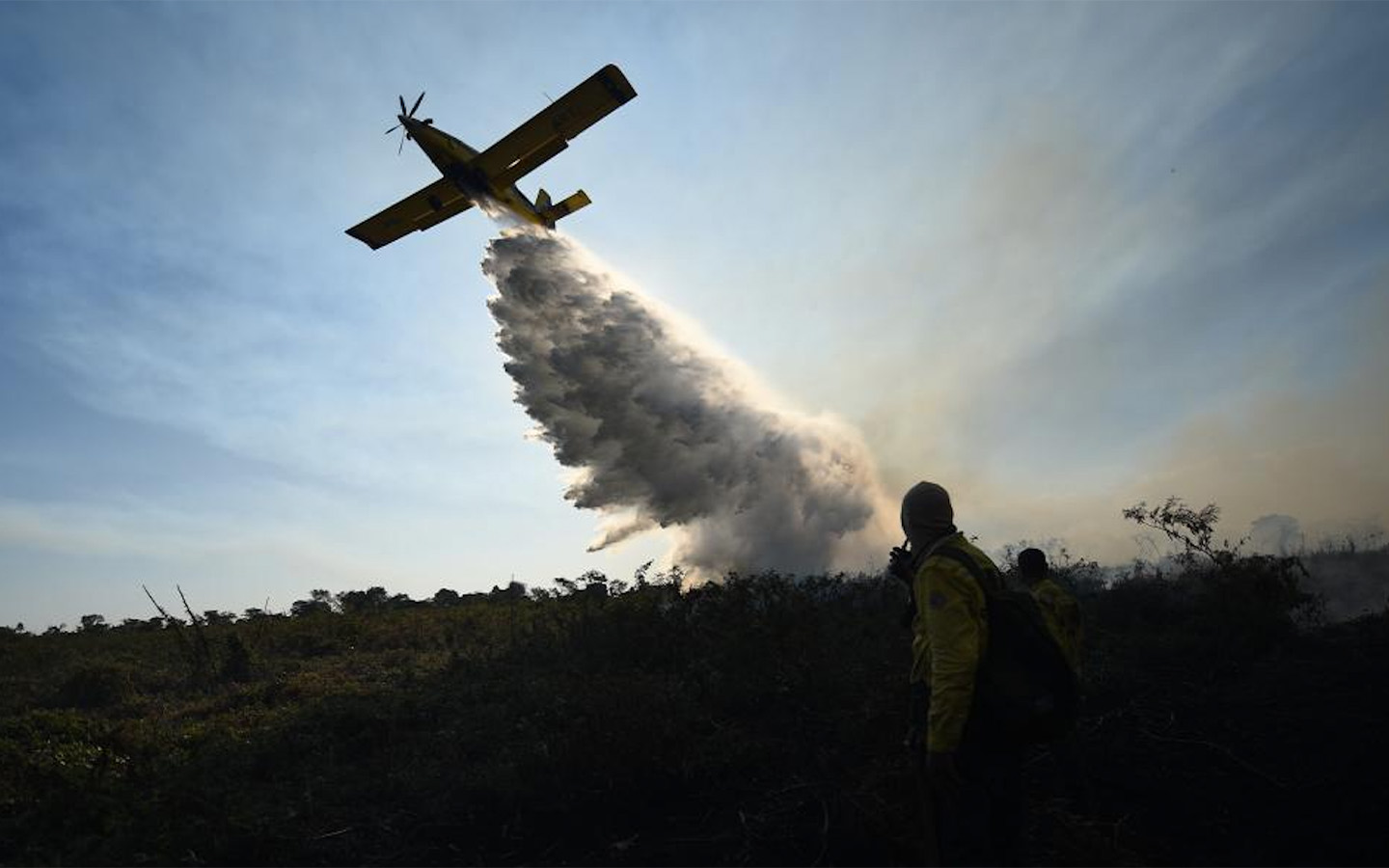 Over 30 million hectares of land burned in Brazil in 2024