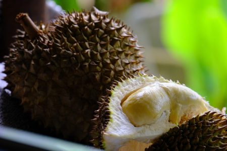 Durian demand in China drives record trade