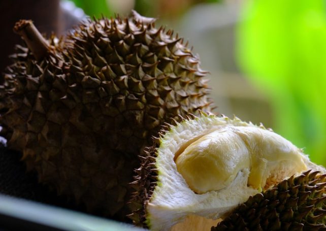 Durian demand in China drives record trade