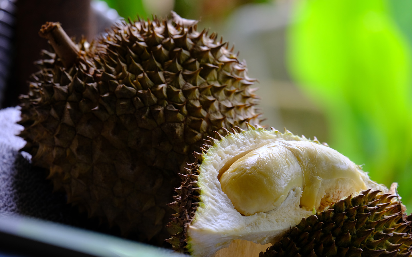 Durian demand in China drives record trade