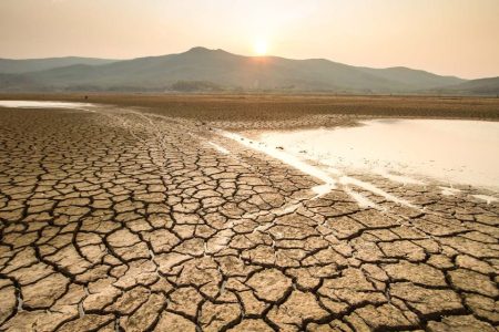 Soaring temperatures drove extreme weather events in 2024, report finds