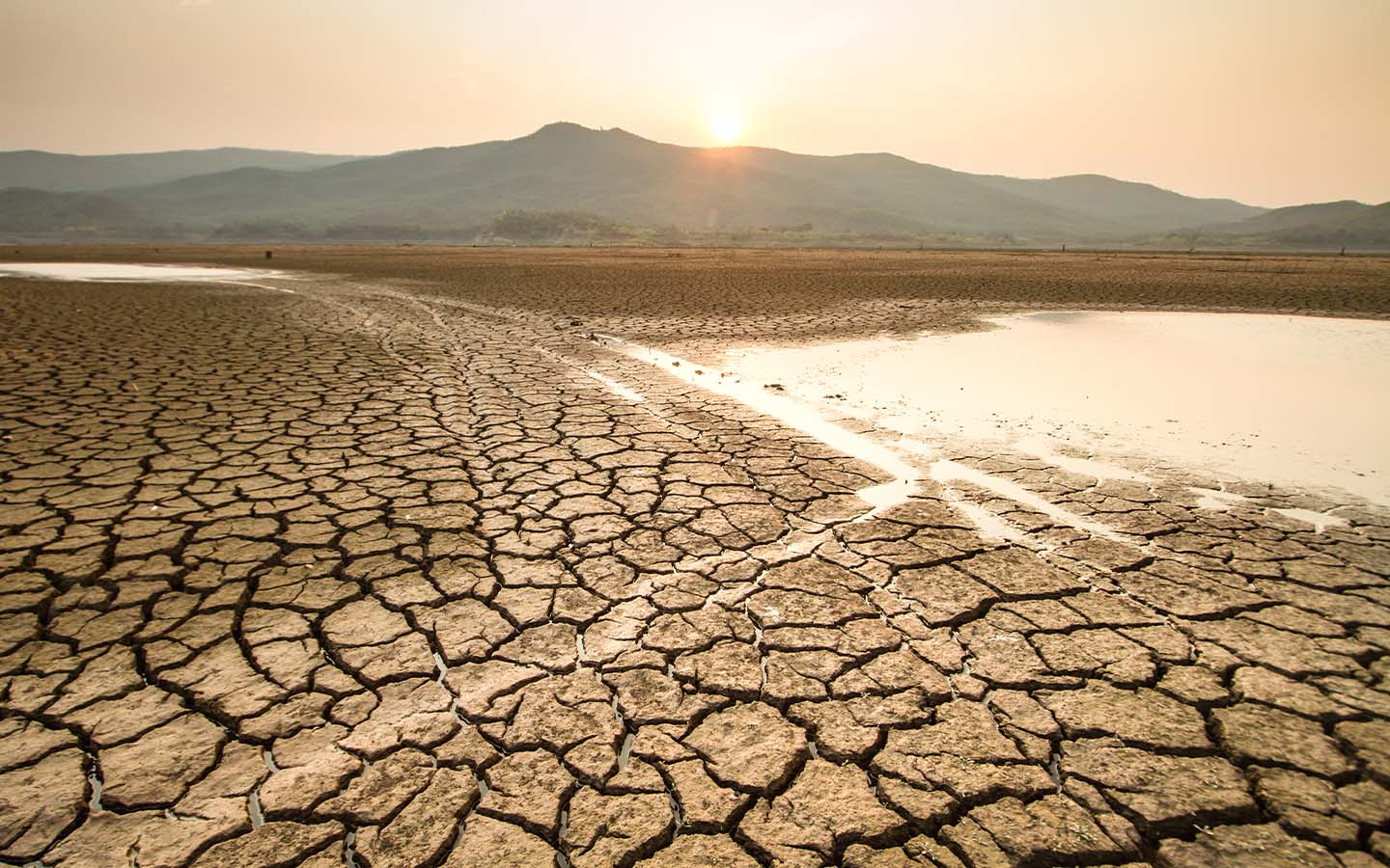 Soaring temperatures drove extreme weather events in 2024, report finds