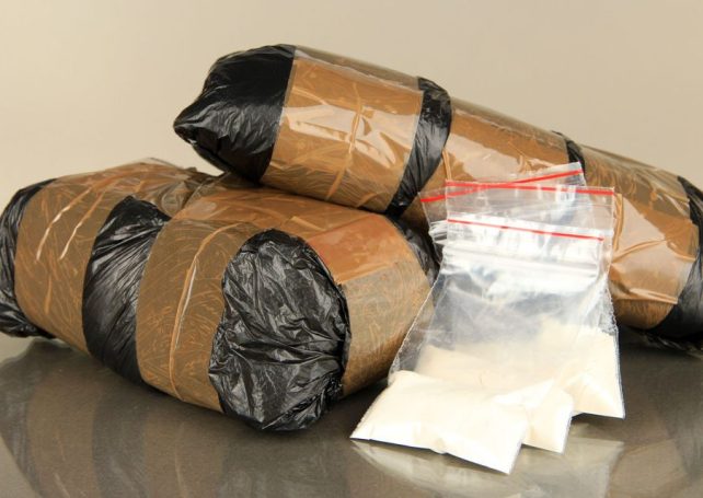 Russian man charged with smuggling 7 million patacas’ worth of heroin 