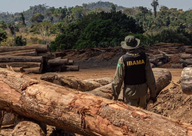 Brazilian authorities seize massive stocks of illegal timber after raids in the Amazon