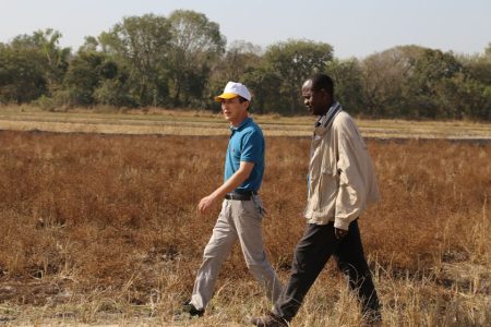 Chinese mission in Guinea-Bissau improves rice production