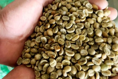 Producers taking advantage of high prices have dwindled Brazil’s coffee stockpile