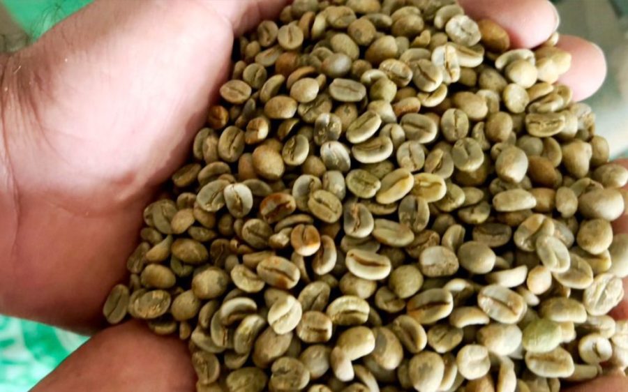 Producers taking advantage of high prices have dwindled Brazil’s coffee stockpile