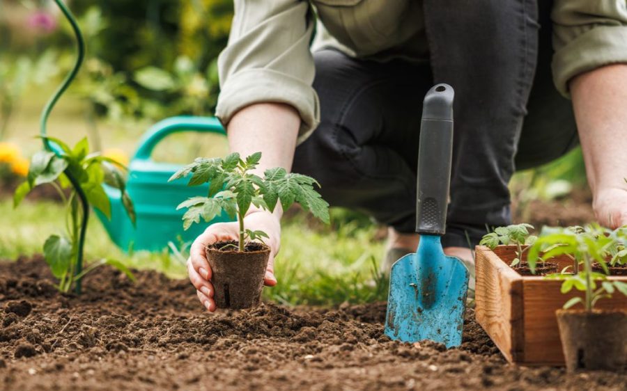Spending time in nature is just as effective as conventional mental health therapies