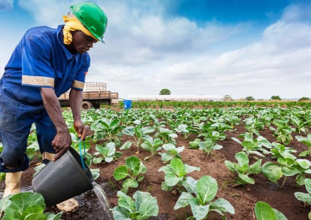 ​​Angola courts Brazilian agribusiness