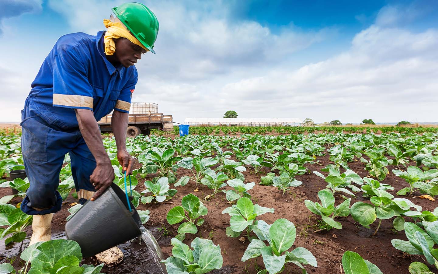 ​​Angola courts Brazilian agribusiness