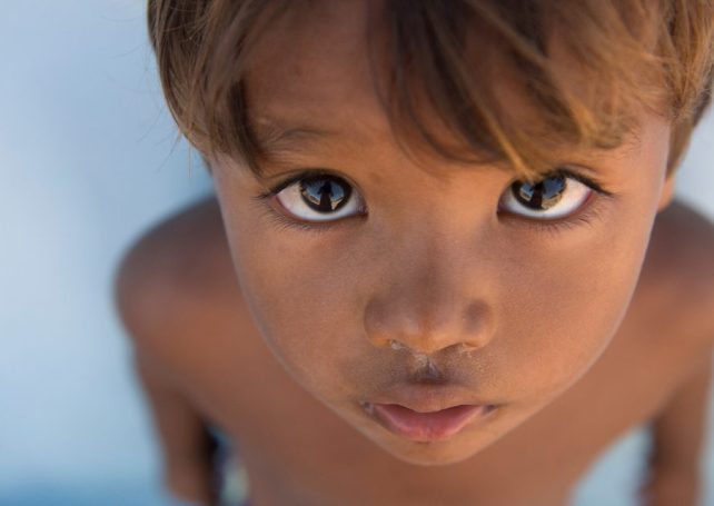 Scientists identify over 8.7 million new genetic variants among the Brazilian population