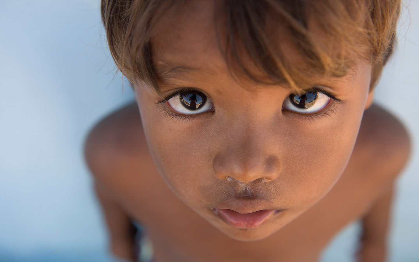 Scientists identify over 8.7 million new genetic variants among the Brazilian population