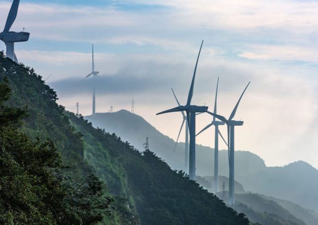 China’s quarterly CO2 emissions fall on the back of a renewable energy surge