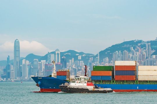 Study reveals ‘relentless’ impact of GBA shipping on marine wildlife