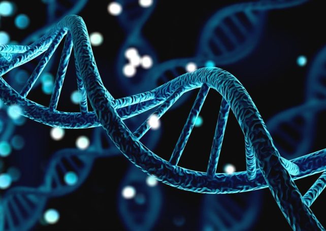 Personalised gene editing heals baby in world first