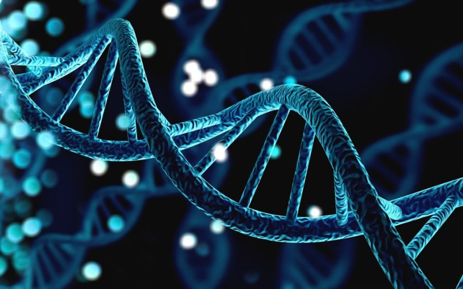 Personalised gene editing heals baby in world first