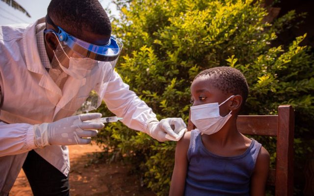 New campaign aims to immunise Guinea-Bissau against yellow fever