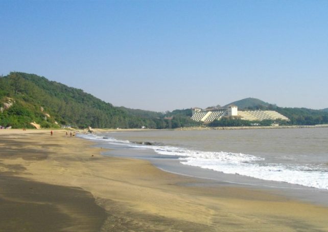 Ready for the beach? Special bus route 15T to resume summer operations