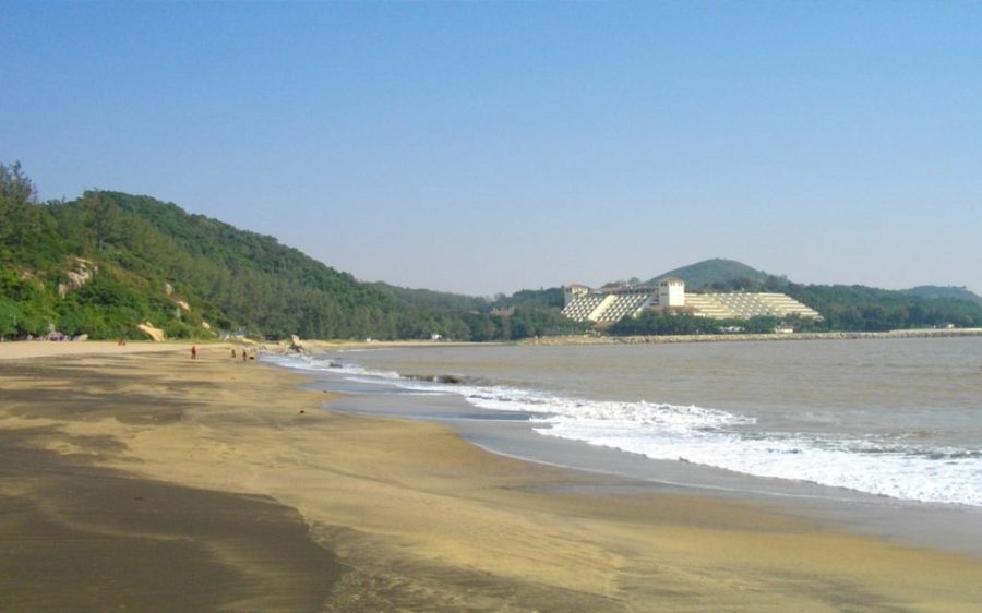 Ready for the beach? Special bus route 15T to resume summer operations