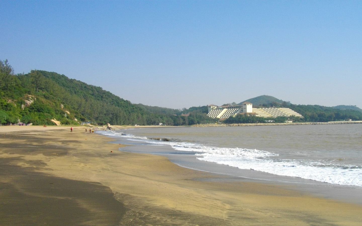 Ready for the beach? Special bus route 15T to resume summer operations