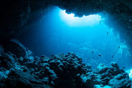 More than a fifth of the world’s oceans are losing sunlight
