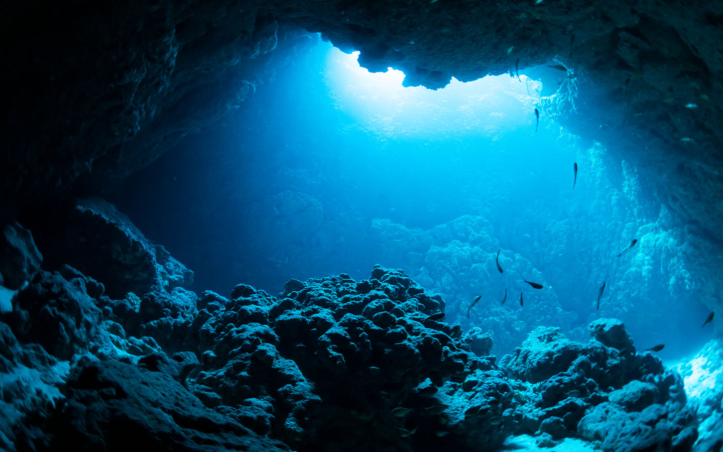 More than a fifth of the world’s oceans are losing sunlight 