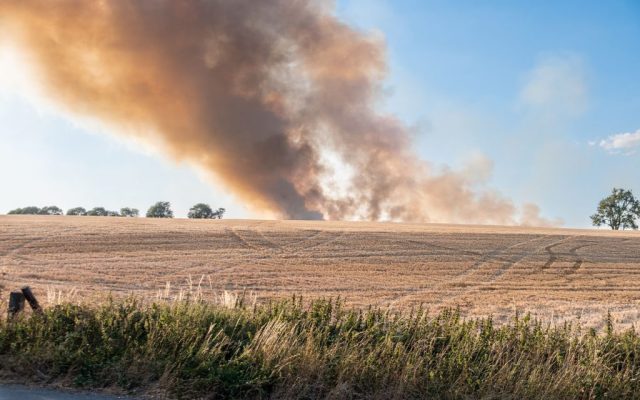 Climate change is triggering unprecedented wildfires in the UK 